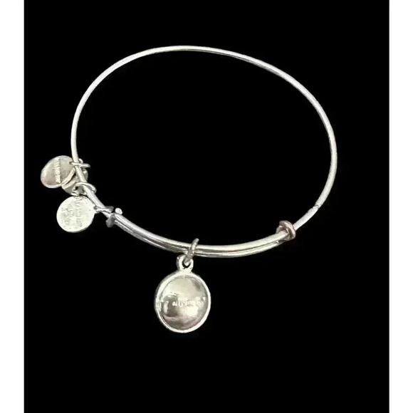 Alex and Ani Raffaelian Silver Expandable November Birthstone Charm Bangle - Picture 4 of 7